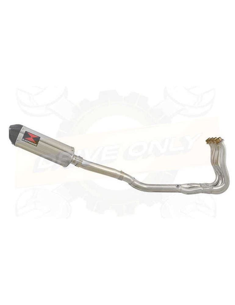 GSXR 600 GSXR600 K8 K9 LO 08 09 10 Ligne complète & Silencieux Ovale en Inox + Canule en Carbone 300mm