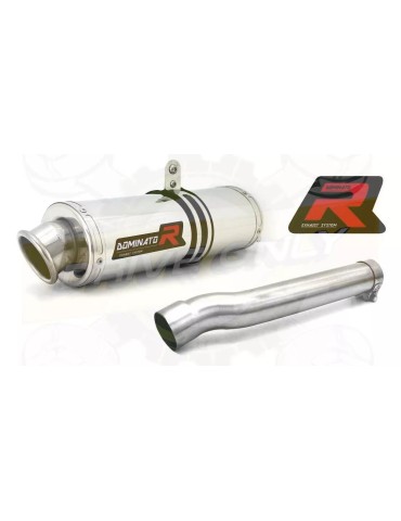 Silencieux sport Dominator : Cbr 1000 RR 2004 / 2007