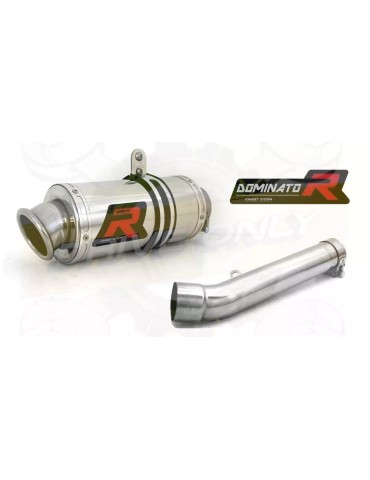 Silencieux sport Dominator : Cbr 600 F 1999 - 2000