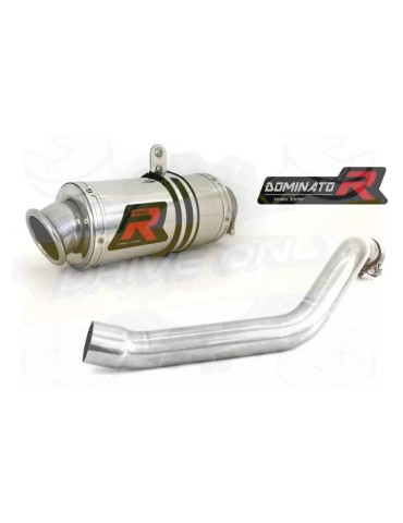 Silencieux sport Dominator : CB 600 F Hornet 2003 - 2006