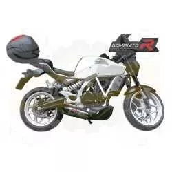 Silencieux sport Dominator : Exiv Gd 250 2014 - 2016