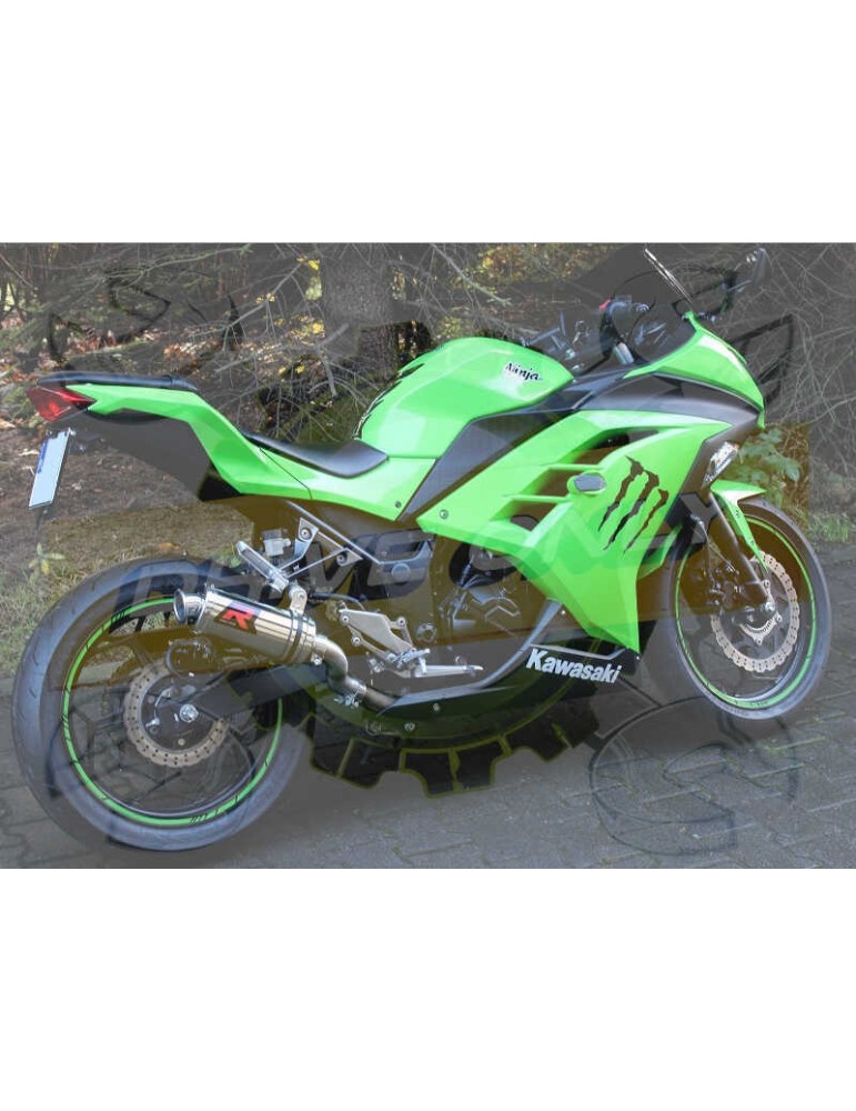 Silencieux sport Dominator : ZX 300 R Ninja 2012 - 2016 Silencieux sport Dominator : ZX 300 R Ninja 2012 - 2016