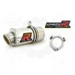 Silencieux sport Dominator : RF 900 R 1993 - 1997