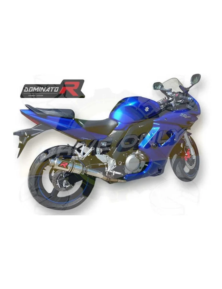 Silencieux sv 650 Clearance