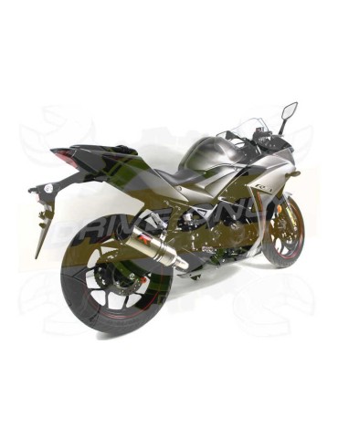 Silencieux sport Dominator : YZF R3 2015 - 201x