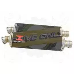 Par paire Ovale En Carbone Silencieuxs 400mm