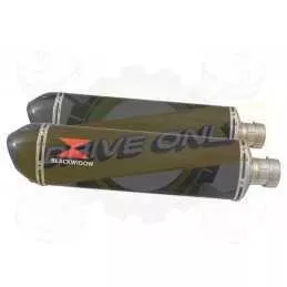 Par paire Ovale En Carbone Silencieuxs & Canule en Carbone 400mm