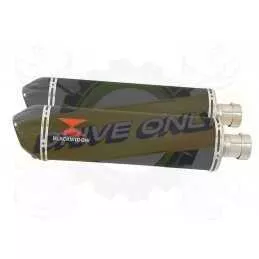 Par paire Ovale Noir En Inox Silencieuxs & Canule en Carbone 400mm