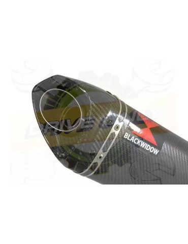 R6 2006-2016 Silencieux Kit & Silencieux Tri-Ovale en Carbone 250mm
