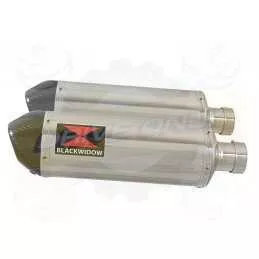 Par paire Ovale En Inox Silencieuxs & Canule en Carbone 300mm