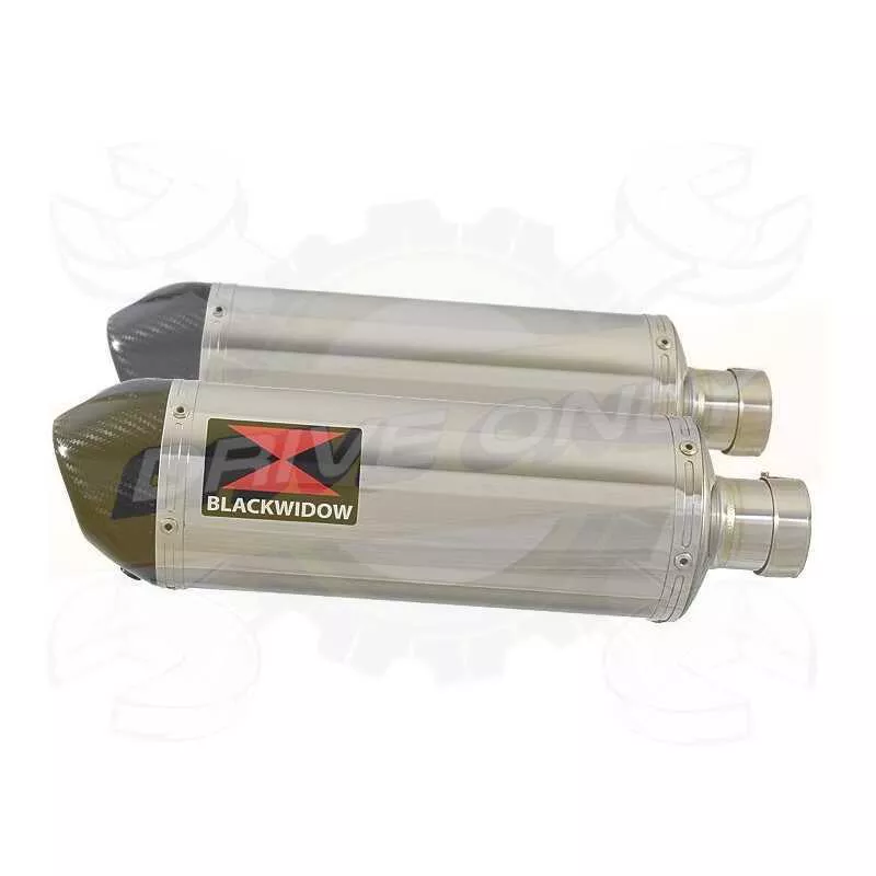 Par paire Ovale En Inox Silencieuxs & Canule en Carbone 300mm