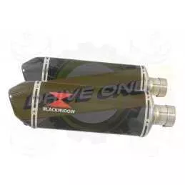 Par paire Ovale En Carbone Silencieuxs & Canule en Carbone 300mm