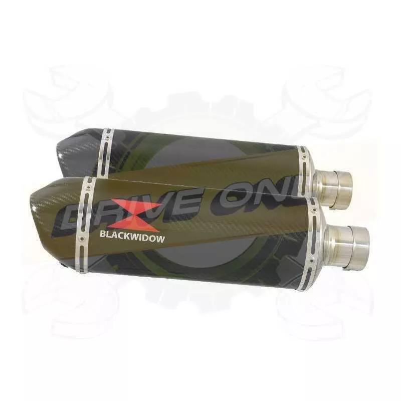 Par paire Ovale En Carbone Silencieuxs & Canule en Carbone 300mm