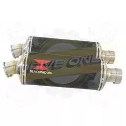 Par paire Ovale En Carbone Silencieuxs 300mm