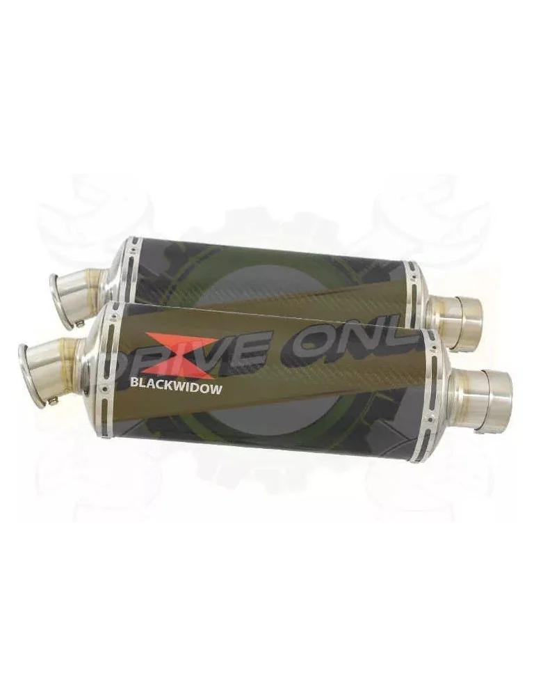 Par paire Ovale En Carbone Silencieuxs 300mm