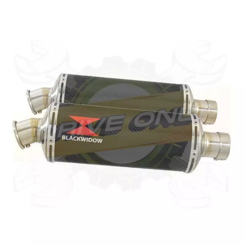 Par paire Ovale En Carbone Silencieuxs 300mm
