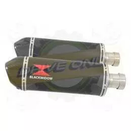 Par paire Ovale Noir En Inox Silencieuxs & Canule en Carbone 300mm