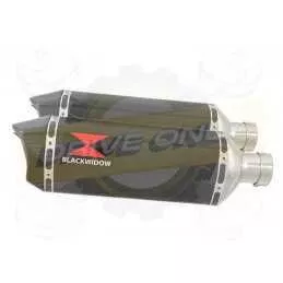 Par paire Hexagonale En Carbone Silencieuxs & Canule en Carbone 300mm