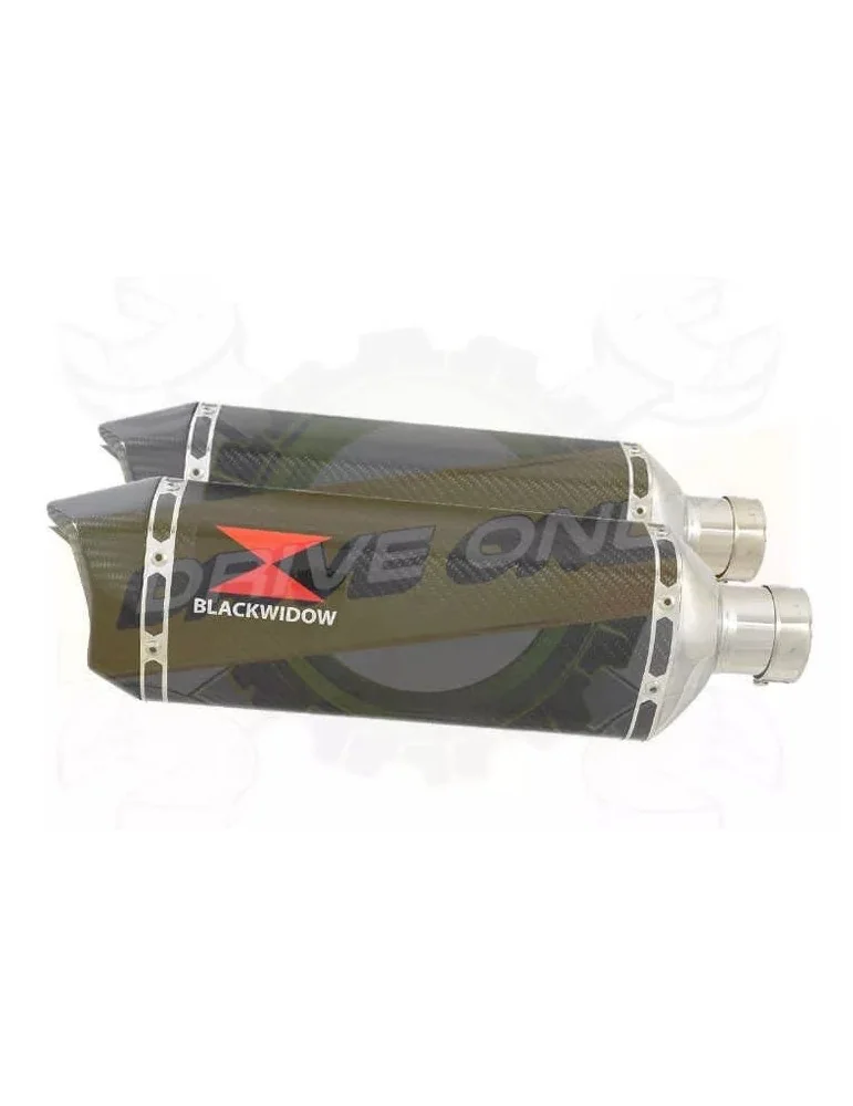 Par paire Hexagonale En Carbone Silencieuxs & Canule en Carbone 300mm