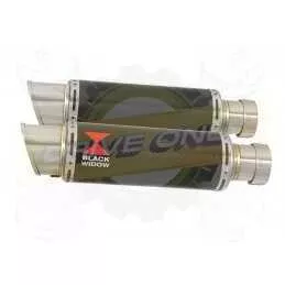 Par paire Rond GP Style En Carbone Silencieuxs & Canule en Titane 230mm