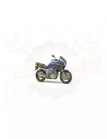 Silencieux sport Dominator : TDM 850 1991 - 2001