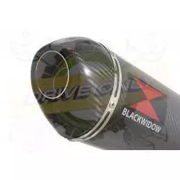 Z800 ZR800A Z800E 13 14 15 16 Tube de raccord et Silencieux Ovale En Carbone 400mm