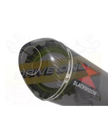 KTM 125 Duke 2011-2016 Silencieux Kit / Silencieux Ovale en Carbone  400mm 