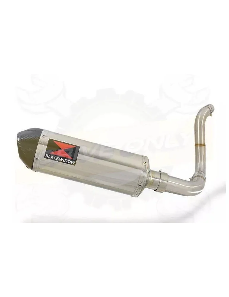 KTM 125 Duke 2011-2016 Silencieux Kit / Silencieux Ovale en Inox + Canule en Carbone 300mm