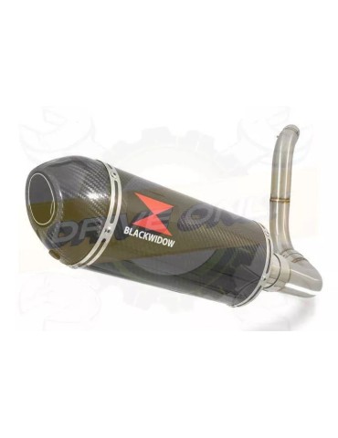 KTM 125 Duke 2011-2016 Silencieux Kit / Silencieux Ovale en Carbone 300mm