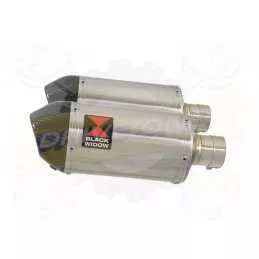 Par paire Ovale En Inox Silencieuxs & Canule en Carbone 200mm