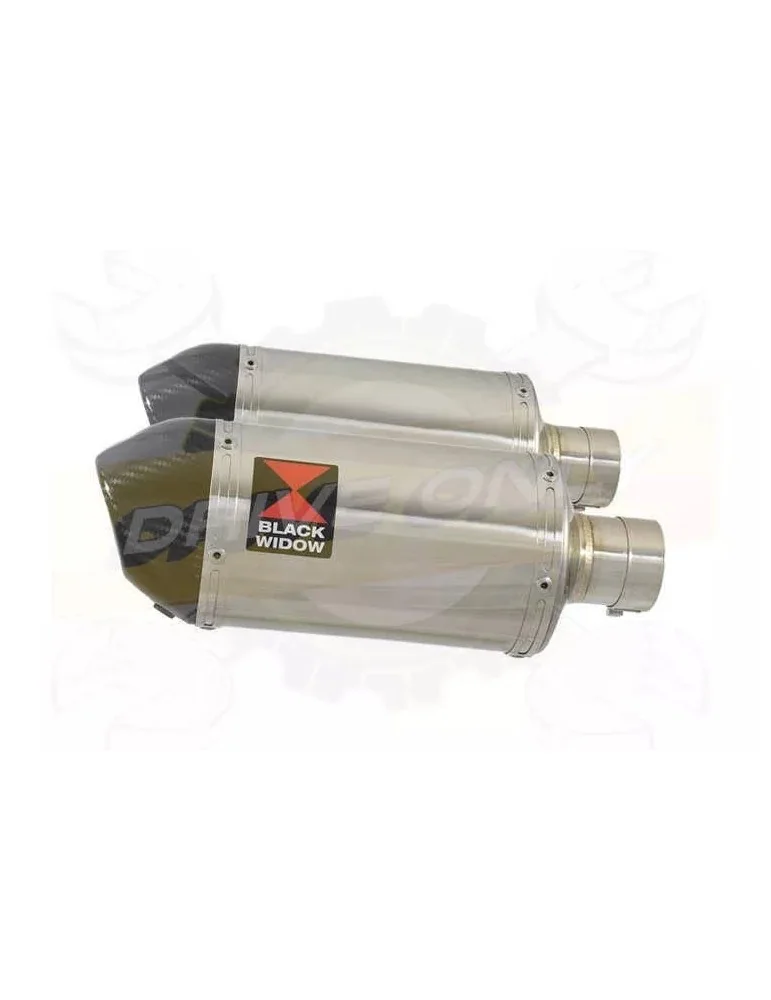 Par paire Ovale En Inox Silencieuxs & Canule en Carbone 200mm