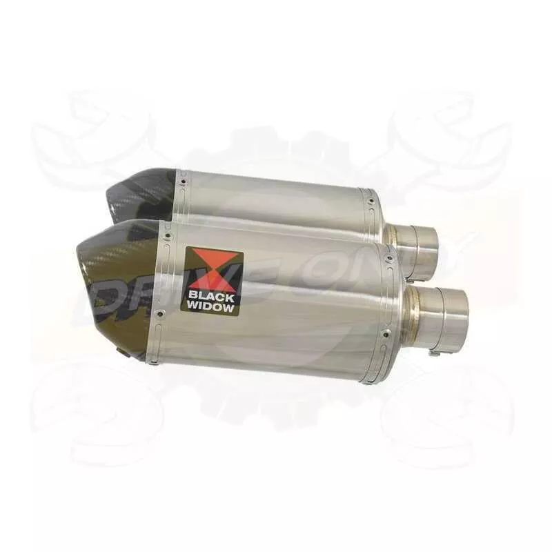 Par paire Ovale En Inox Silencieuxs & Canule en Carbone 200mm