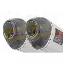 Par paire Ovale En Inox Silencieuxs & Canule en Carbone 200mm