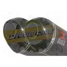 Par paire Ovale En Carbone Silencieuxs & Canule en Carbone 200mm