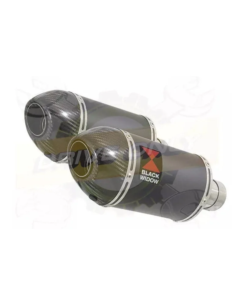 Par paire Ovale Noir En Inox Silencieuxs & Canule en Carbone 200mm