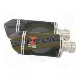 Par paire Ovale Noir En Inox Silencieuxs & Canule en Carbone 200mm