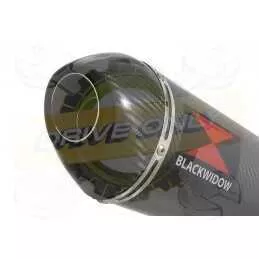 Z800 ZR800A Z800E 13 14 15 16 Tube de raccord et Silencieux Ovale En Carbone 300mm