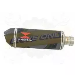 Z800 ZR800A Z800E 13 14 15 16 Tube de raccord et Silencieux Ovale En Carbone 300mm