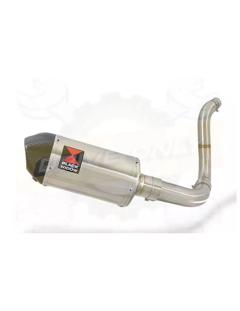 KTM 125 Duke 2011-2016 Silencieux Kit / Silencieux ovale en Inox + Canule en Carbone 200mm