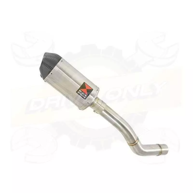Z800 ZR800A Z800E 13 14 15 16 Tube de raccord et Silencieux Ovale En Inox + Canule En Carbone 200mm