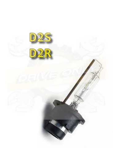 Ampoule D2S 