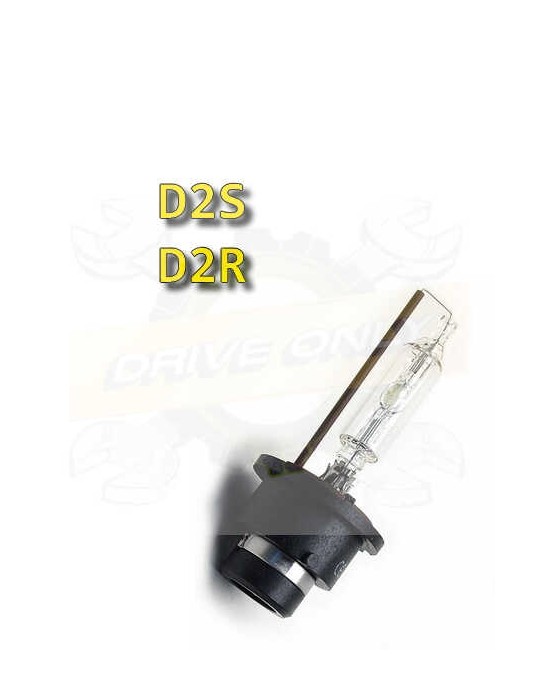 Ampoule D2S 