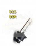 Ampoule D2S / D2R