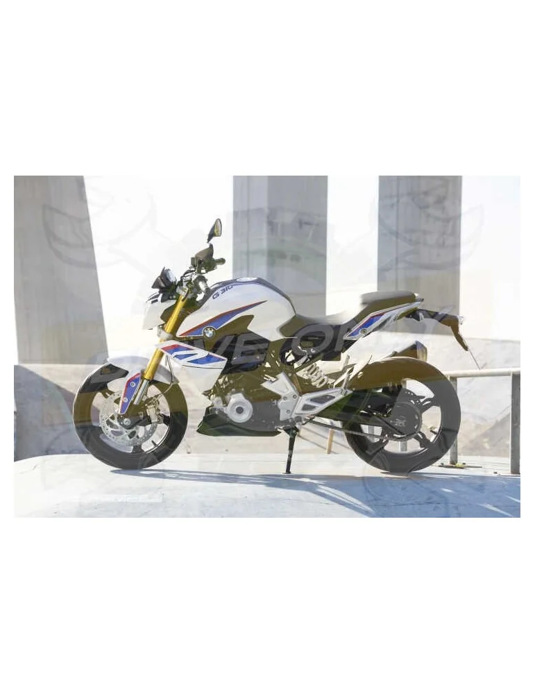 Silencieux sport Dominator : G 310 R 2016 - 201x