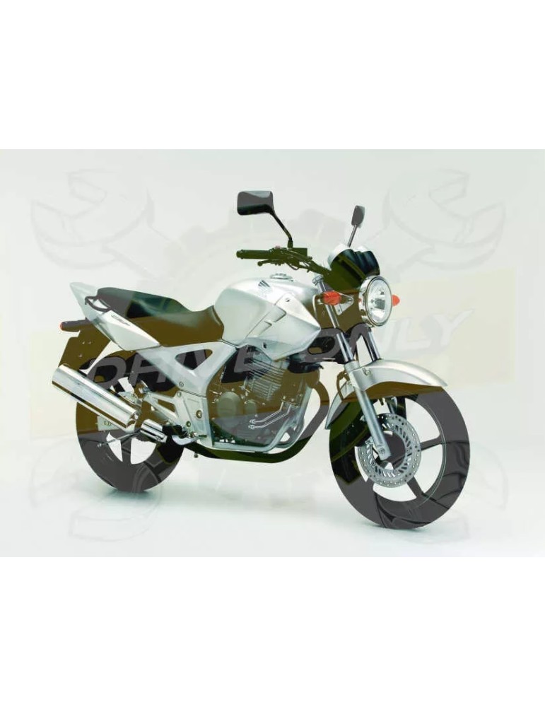 Silencieux sport Dominator : CBF 250 2004 - 2006