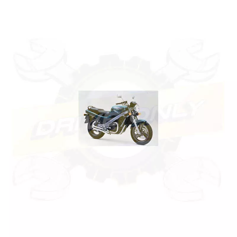 Silencieux sport Dominator : NTV 650 Revere 1988 - 1997