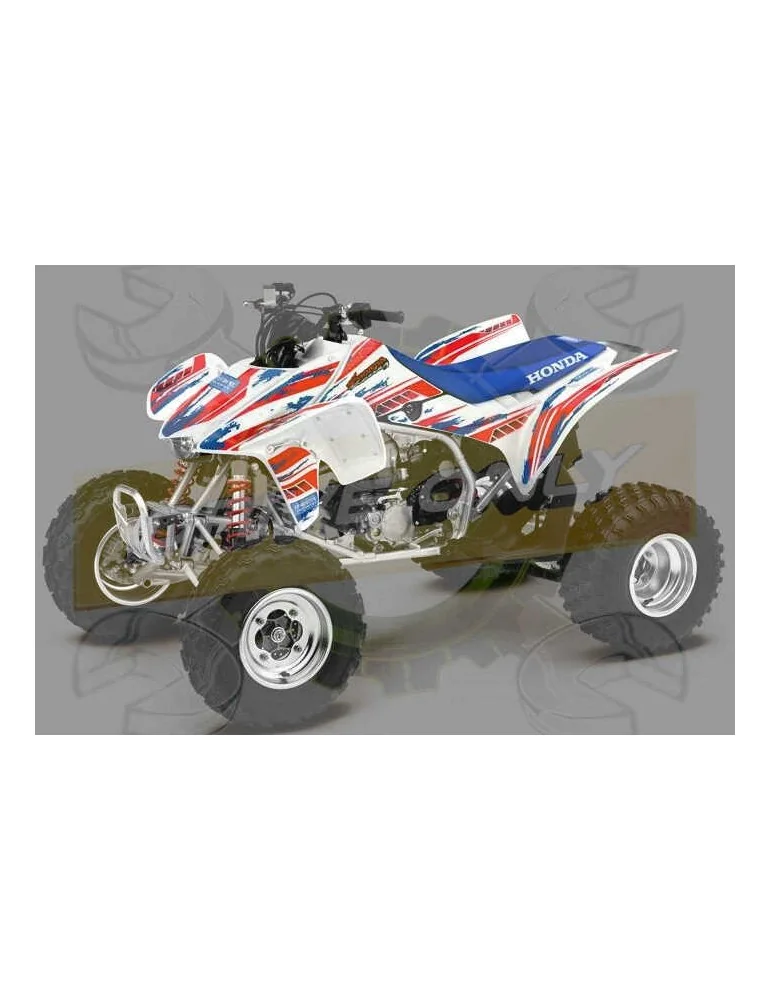 Silencieux sport Dominator : TRX 450R 2004 - 2005