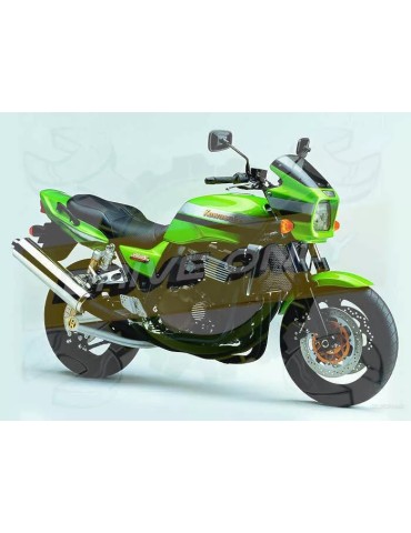 Silencieux sport Dominator : ZRX 1200 N / R  2001 - 2007