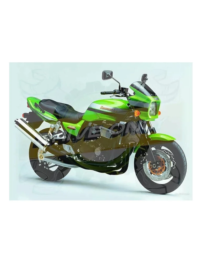 Silencieux sport Dominator : ZRX 1200 N / R  2001 - 2007