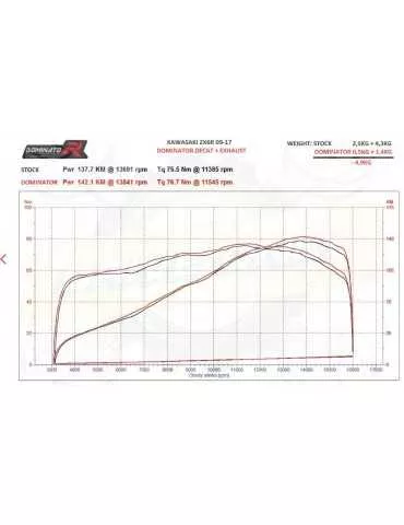 Silencieux sport Dominator : ZX6R 636 Ninja 2009 - 2016